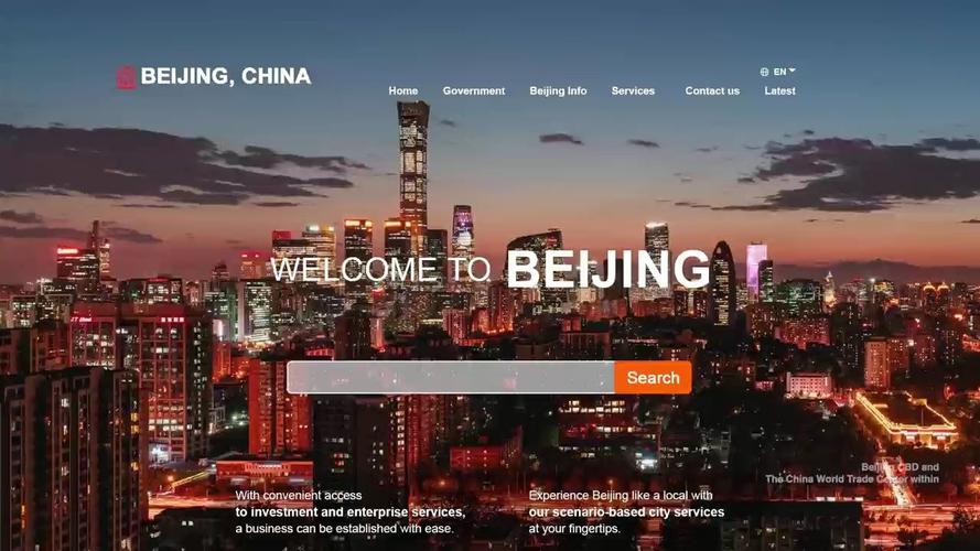 北京良言多米科技公司的互联网推广营销服务专业吗?